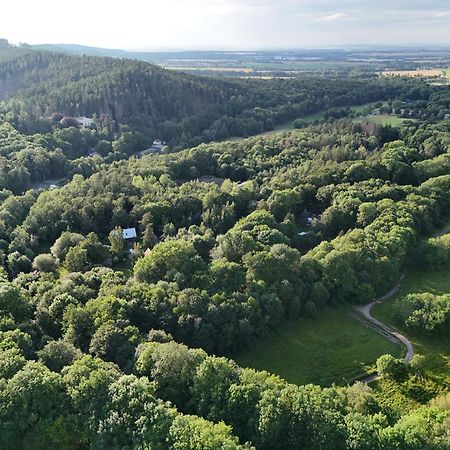 Ferienwohnung Im Logierhaus Villa Ihler Luisenthal Buitenkant foto