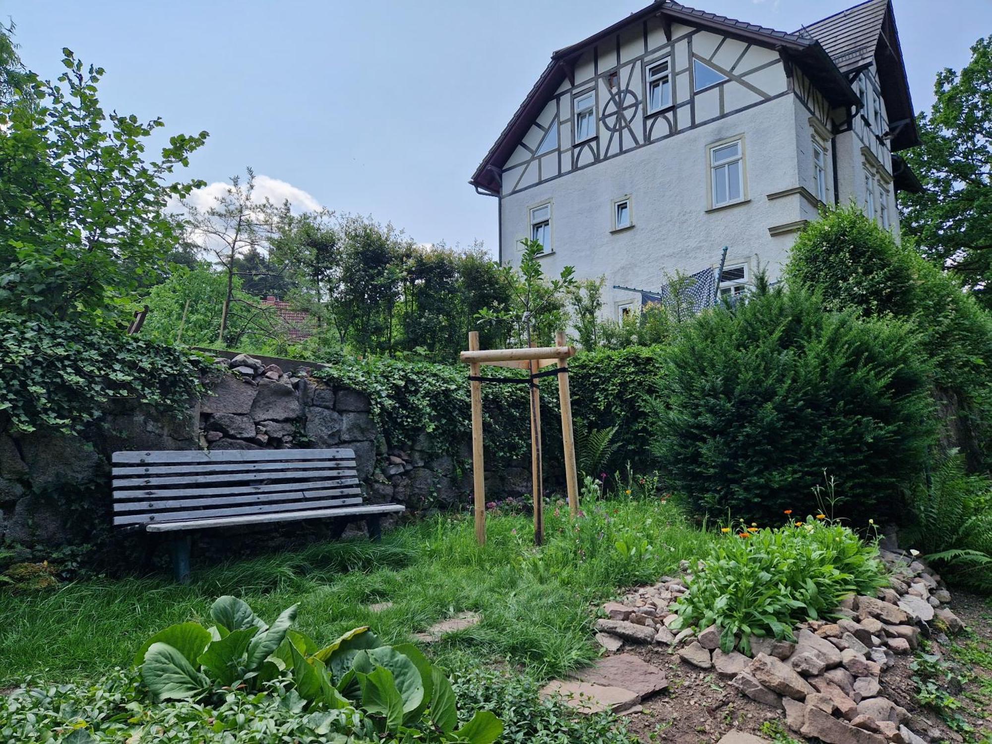 Ferienwohnung Im Logierhaus Villa Ihler Luisenthal Buitenkant foto