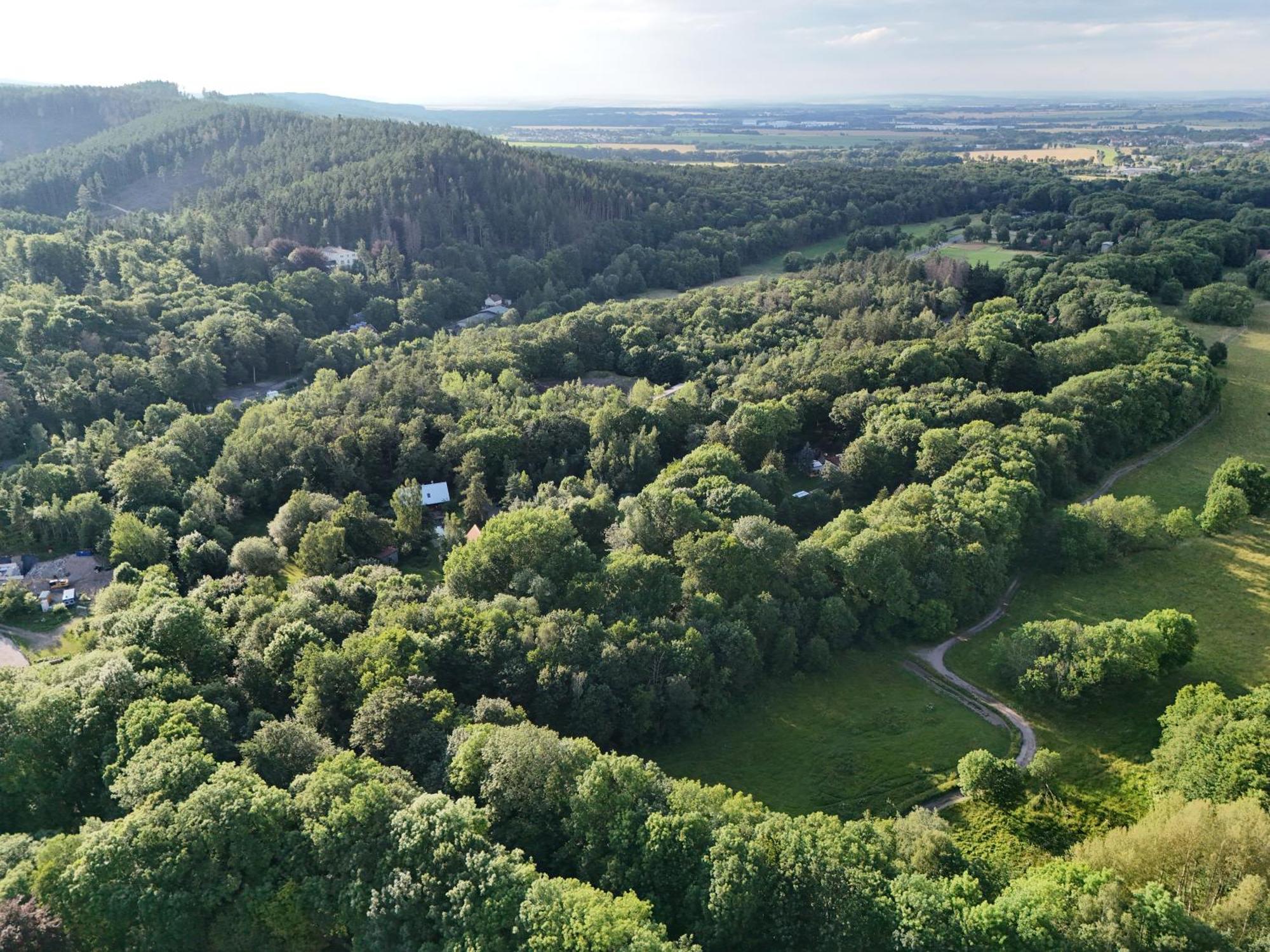 Ferienwohnung Im Logierhaus Villa Ihler Luisenthal Buitenkant foto